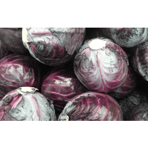 CHOU LISSE ROUGE - entier - 1,7 kg - 2,90 €/kg
